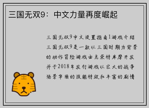 三国无双9：中文力量再度崛起